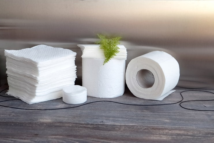 Bamboo toilet paper: The new luxury choice for the environmentally conscious consumer