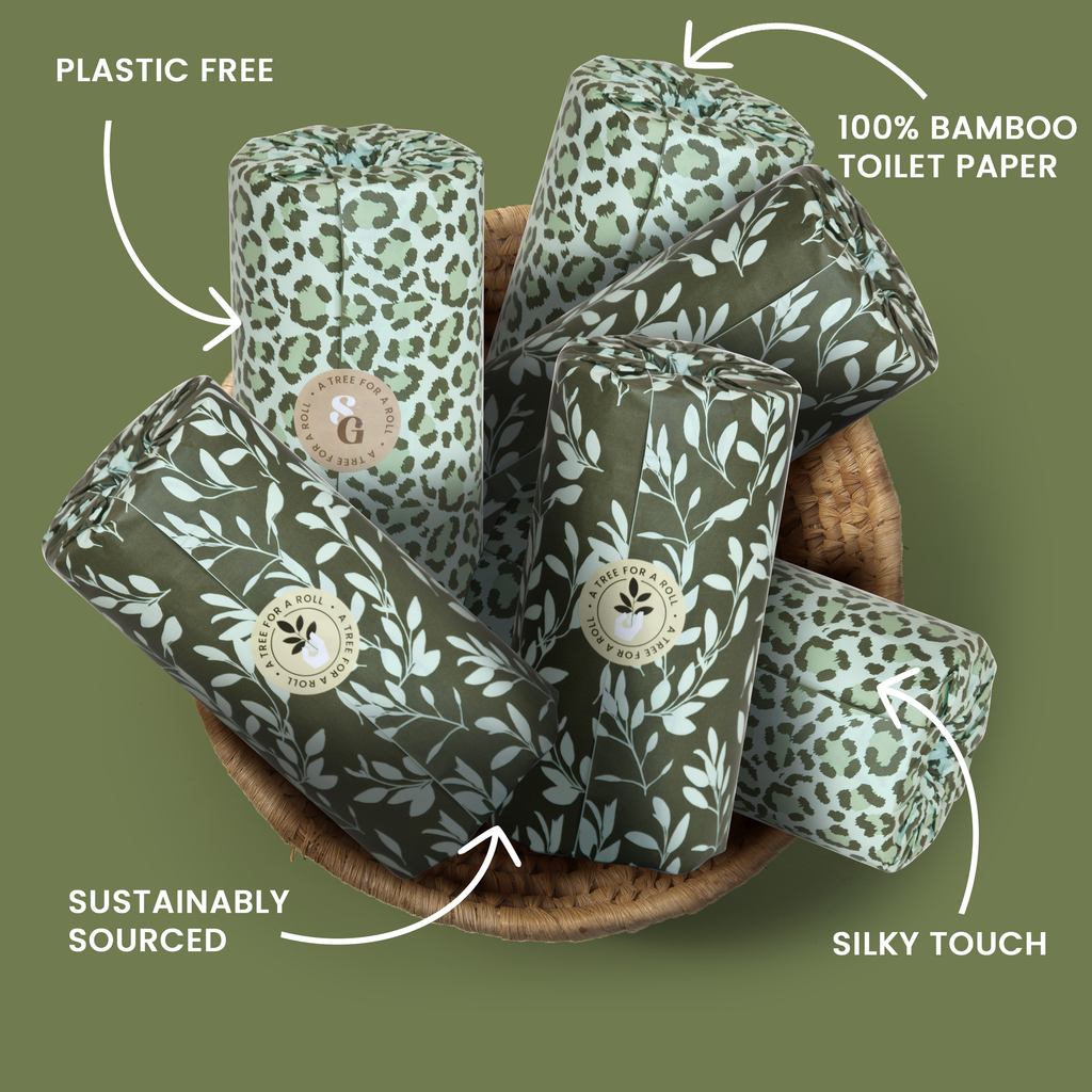 Eco - Friendly Paper Towels